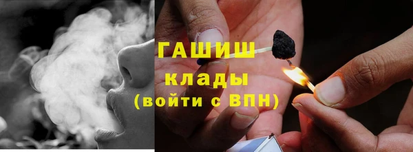 гашик Горняк
