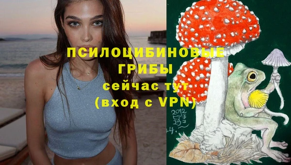 гашик Горняк